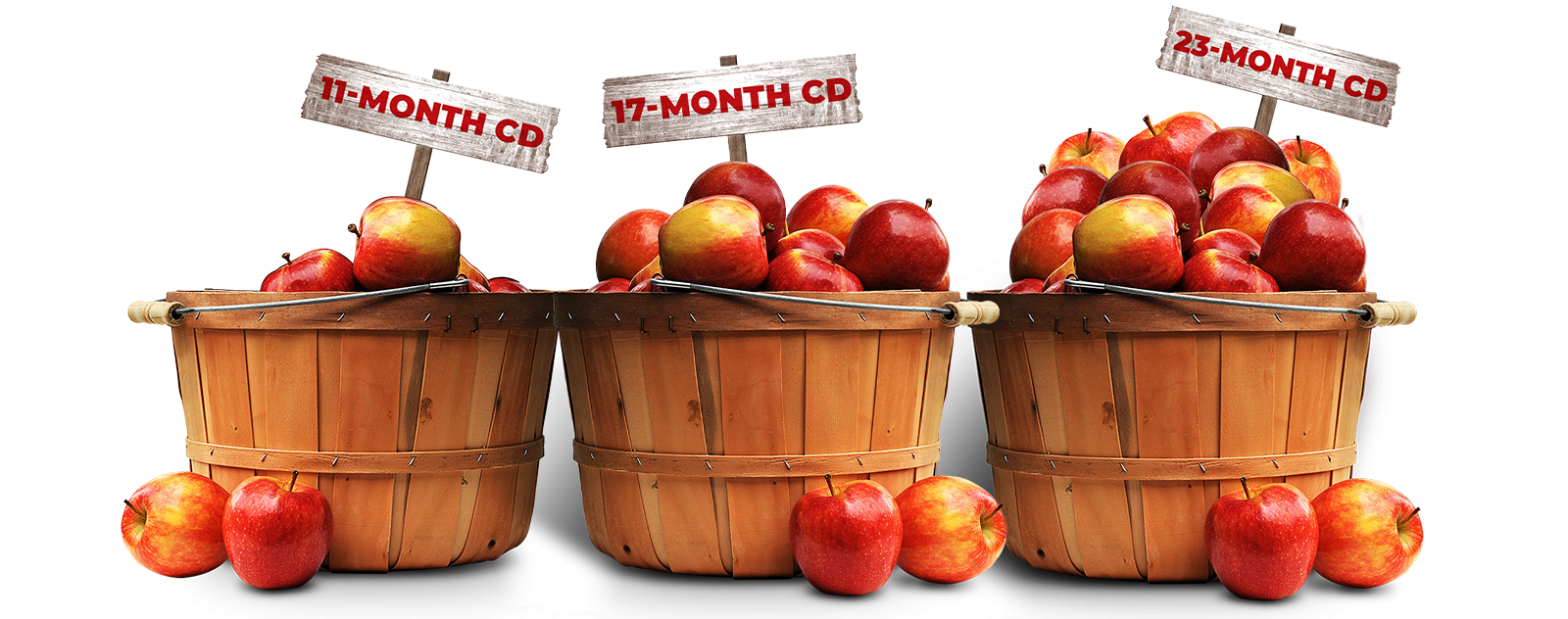 Buckets of apples with time period cards of 11, 17, and 23 months